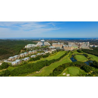 [강원도] [본사직영]델피노 (소노캄/소노문/소노벨)