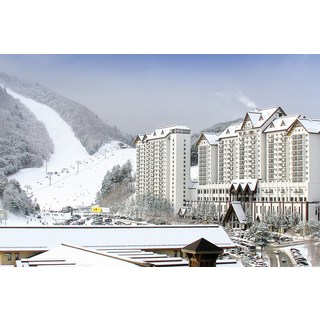 [평창] 용평리조트(용평창콘도/대관령콘도/하늘목장/용평호텔/용평스키장/용평워터파크/피크아일랜드)의 사본