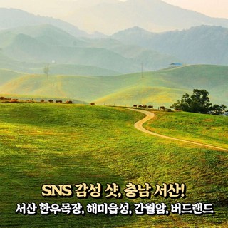 [충남] 서산 웰빙투어 / 서산 한우목장+해미읍성+간월암+버드랜드 당일여행/국내여행 / 서울경기出