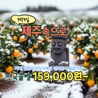 [제주] ★전국출발★초특가★ 동백꽃 필 무렵 겨울  추억여행 3박4일