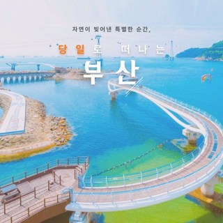 [KTX 당일]  알차게 다녀오는 부산 시티1탄 당일치기 기차여행