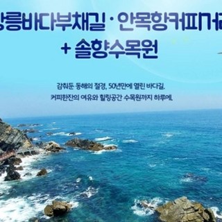 [KTX 당일]  경포호와 커피향 가득한 강릉하루  품격패키지 코레일 기차여행