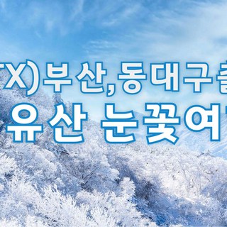 [덕유산KTX] ★부산/울산/동대구출발 눈꽃여행 덕유산 향적봉 곤도라 트래킹 기차여행