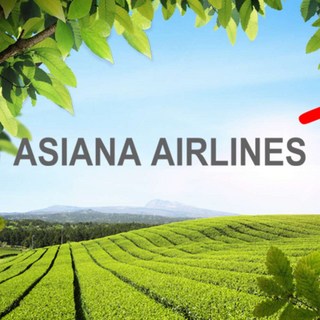 [제주] 아시아나 편도 항공권(특가항공권 진행중)