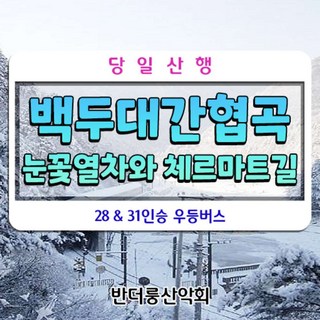 [경북 봉화] 백두대간 협곡 눈꽃열차(V-트레인) 28인승 리무진버스