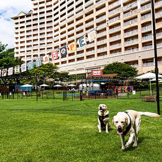 [강원] 소노펫 비발디파크 소노호텔앤리조트 패키지 (홍천) 애견동반의 사본