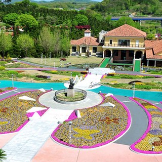 [세종시] 베어트리파크 입장권