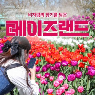 [제주] (♥크리스마스 특가♥) 메이즈랜드 입장권