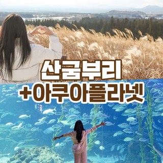 [제주] 산굼부리+아쿠아플라넷 종합권