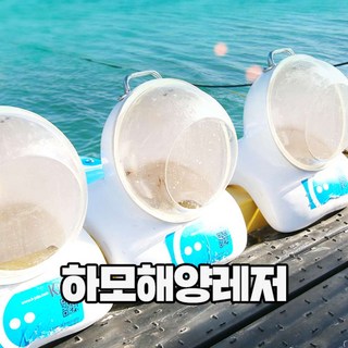 [제주] 하모해양레저 (패들보드 / 씨워킹)