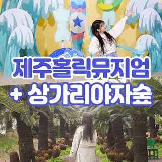 [제주] 상가리야자숲+제주홀릭뮤지엄