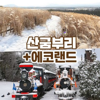 [제주] 산굼부리+에코랜드