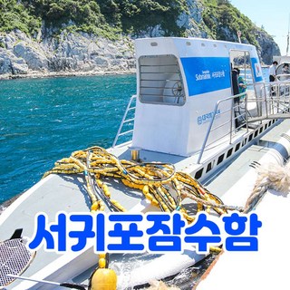 [제주] 제주 서귀포잠수함