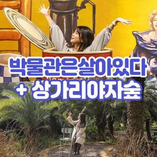 [제주] 상가리야자숲+박물관은살아있다