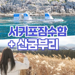[제주] 산굼부리+서귀포잠수함