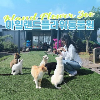 [제주] 아일랜드플라워 동물원