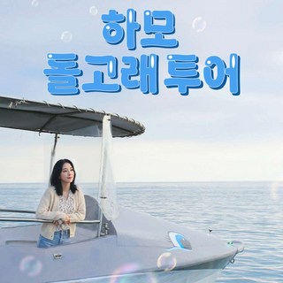 [제주] 하모 돌고래투어 (조조항차 / 일반항차 / 선셋항차)