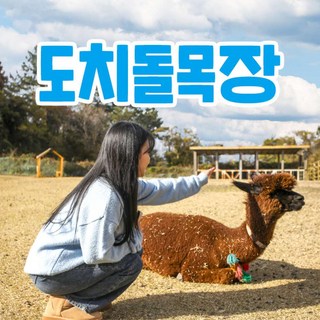 [제주] (♥카페or입장권 택1♥) 도치돌 알파카목장
