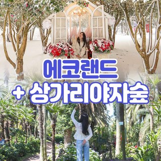 [제주] 상가리야자숲+에코랜드