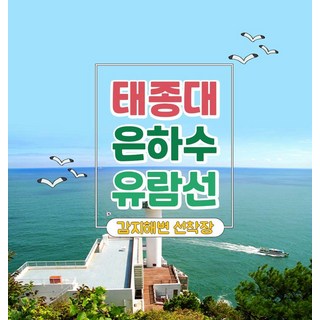 [부산 영도] 은하수유람선 - 영도 태종대유람선 크루즈 왕복 승선권