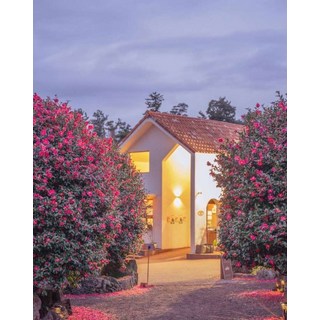 [제주도] 제주도 버스투어 관광 뚜벅이 일일원데이 패키지투어 당일치기 혼자여행 가족 친구 연인 여행