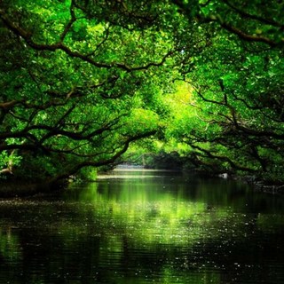 [대만] 대만 가오슝 타이난 3박4일 월요일 출발 (현지조인, 2명이상출발, 항공불포함)