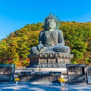 [서울출발] [설악산+낙산사] 당일 여행