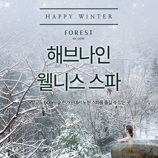 [제천] 포레스트리솜 해브나인 웰니스 스파 이용권(~3/2)