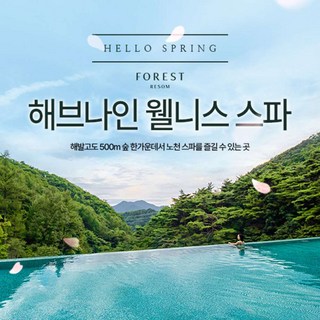 [제천] 포레스트리솜 해브나인 웰니스 스파 이용권(3/3~3/29)