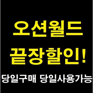 [당일가능] [문자전송] 홍천 오션월드 워터파크  종일이용권 할인