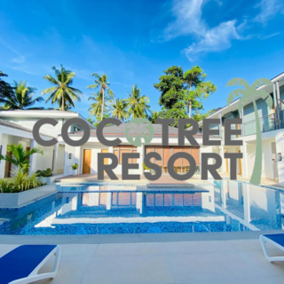 [필리핀/보홀] [인천/부산출발]보홀직항 24년 신규오픈 코코트리 슬림팩 4/5/6일