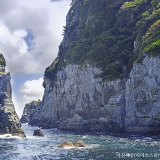 [통영거제] ★한려수도의 비경을 한눈에★동피랑+케이블카+나폴리농원+해금강+외도+바람의언덕
