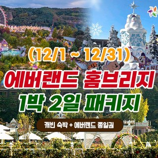 [용인] 12월 에버랜드 용인 홈브리지 캐빈호스텔 1박+종일권