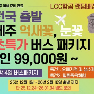 [제주] [전국출발] LCC 제주 억새꽃 및 눈꽃 초특가 3박4일 버스패키지