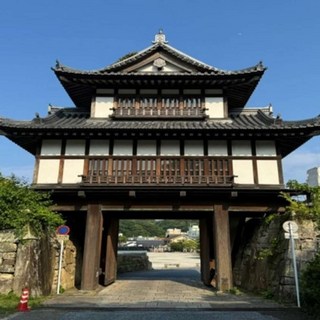 [쓰시마] 대마도 2박3일(부산관광1일+대마도2일) - 씨플라워호 [KTX,SRT 연계]