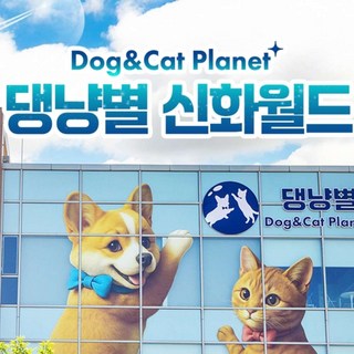 [제주] [제주] 댕냥별 / 제주도 테마파크 실내관광지