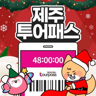 [제주] [제주] 제주투어패스 크리스마스기획전 특가