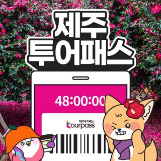 [제주] 제주투어패스 프리패스 자유이용권