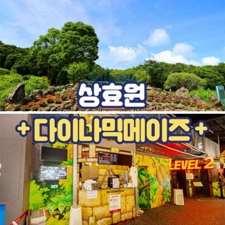 [제주] 상효원+다이나믹메이즈