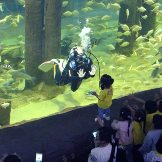 [대전] ★아쿠아리움 골드박스 한정 입장권 특가★