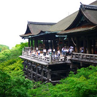 [오사카] [하나투어]부산출발 에어부산 [출발확정/대세는난바숙박/따뜻한온천호텔]오사카/나라/교토/고베 3일 #JOP334BX1 #BEST 추천 #황금빛,찬란한 금각사 #필수코스 롯코산가든테라스 #도심속 전망, 하루카스 300, 디저트즐기기 #샤브샤브 무제한  #하나투어 #패키지