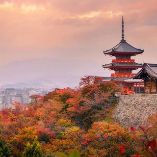 [오사카] [하나투어]부산출발 제주항공 [출발확정] 오사카/고베/USJ/나라 3일 #JOP3337CV #오사카필수코스 #유니버설재팬 #1일입장권포함 #낭만고베즐기기 #하버랜드 #사슴의도시나라 #도다이지 #오사카필수인증샷코스 #하나투어 #패키지