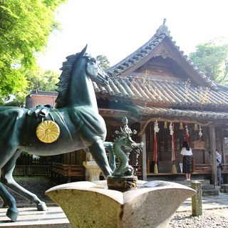 [대마도] [하나투어]부산출발 선박 [출발확정] [4명이상 출발확정] 대마도 2일 #JCP421D0Z #씨플라워호 #오전출발-오전리턴 #이즈하라시내호텔 #BBQ특식 #특전_슈시강산책 #노천온천체험♨  #하나투어 #패키지