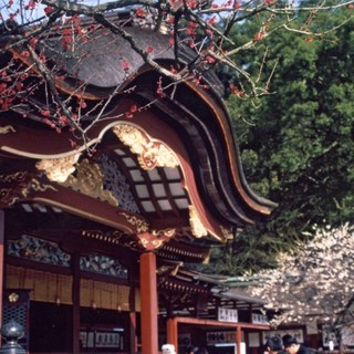 [후쿠오카] [하나투어]부산출발 제주항공 [출발확정 /스마트초이스] 규슈 4일 #JKP3427CD #품격여행 #명품온천여행 #히젠야료칸온천 #특급힐튼후쿠오카 #미식여행 #명물간식 #핵심관광 #하나투어 #패키지