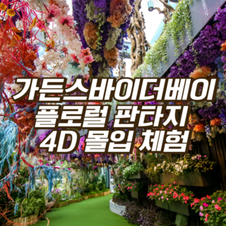 [싱가포르] 단 하나, 꽃 속을 나는 듯한 4D 몰입 체험 [플로럴 판타지] 온라인 최저가