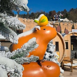 [용인] ★특가★ 캐리비안베이 이용권