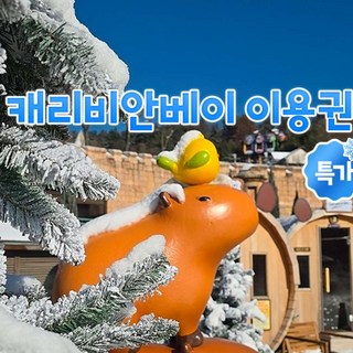 [용인] ★특가★ 캐리비안베이 이용권