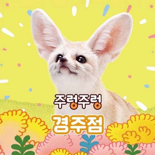 [경북] 주렁주렁 실내 동물원 경주점