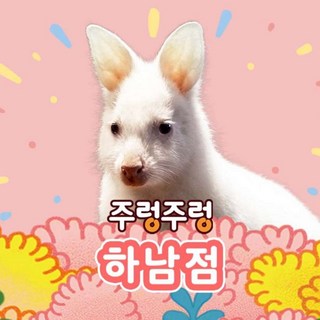 [경기] 주렁주렁 실내 동물원 하남점