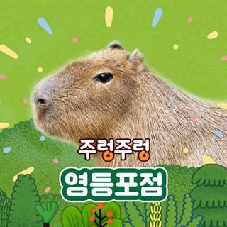 [서울] 주렁주렁 실내 동물원 영등포점